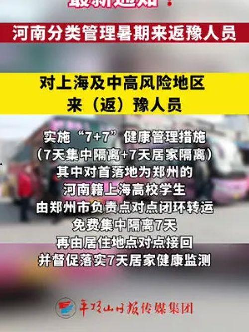 河南时事爆料最新消息新闻,聚焦民生热点，揭秘社会现象